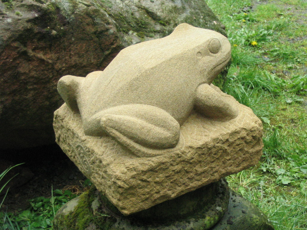 Frosch2016 (3).JPG